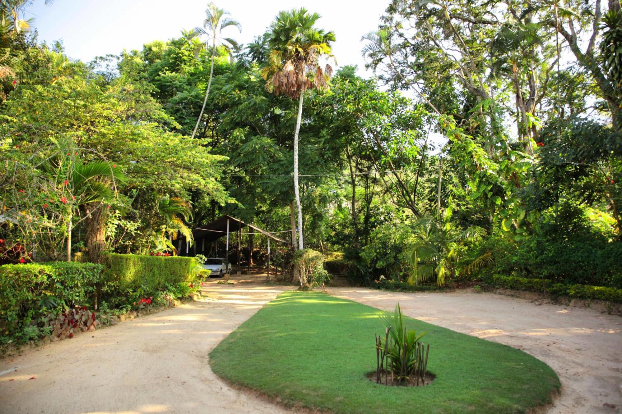Sunnyside Holiday Bungalow Ella Exterior foto