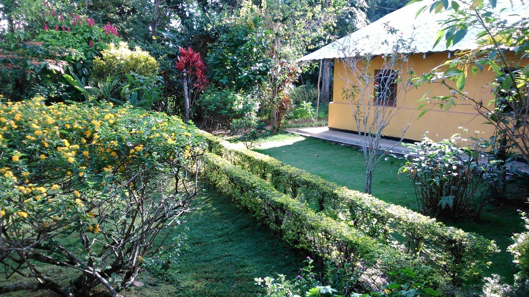 Sunnyside Holiday Bungalow Ella Exterior foto